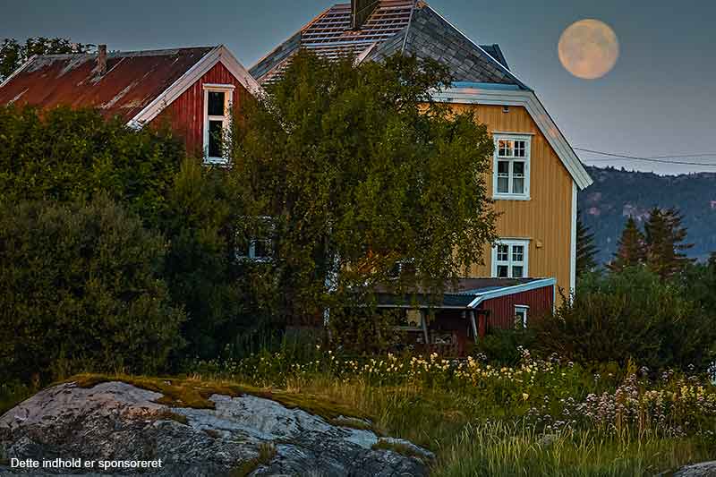 Derfor bør du bo tæt på naturen.